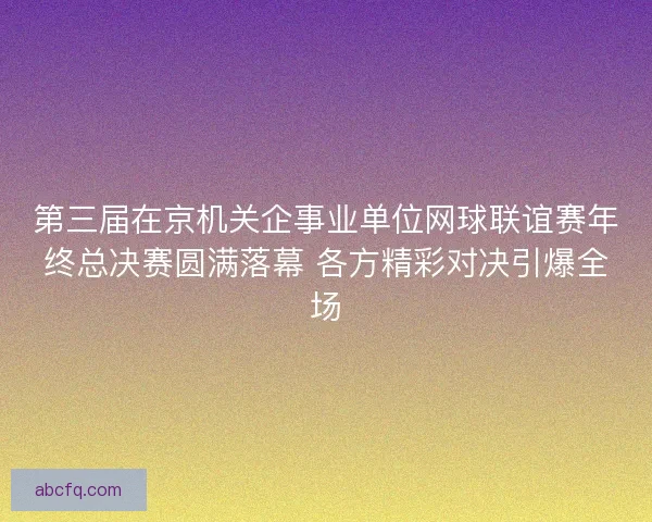 第三届在京机关企事业单位网球联谊赛年终总决赛圆满落幕 各方精彩对决引爆全场