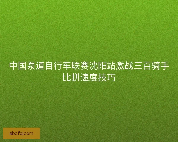 中国泵道自行车联赛沈阳站激战三百骑手比拼速度技巧